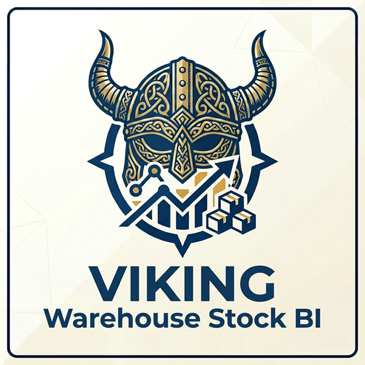 Viking Warehouse Stock BI